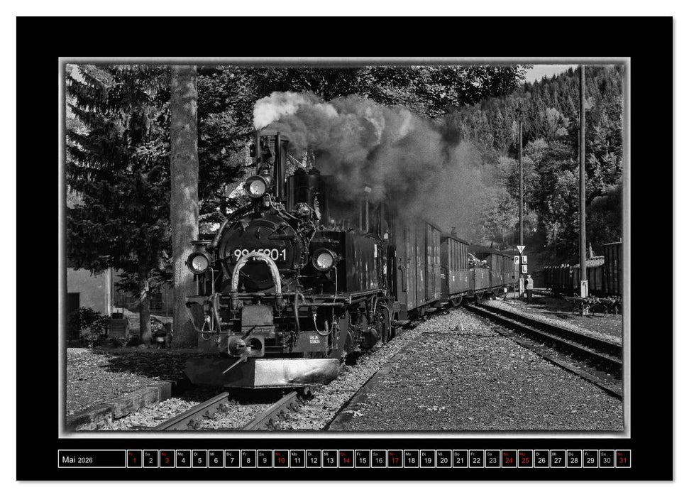 Die Preßnitztalbahn (CALVENDO Premium Wandkalender 2026)