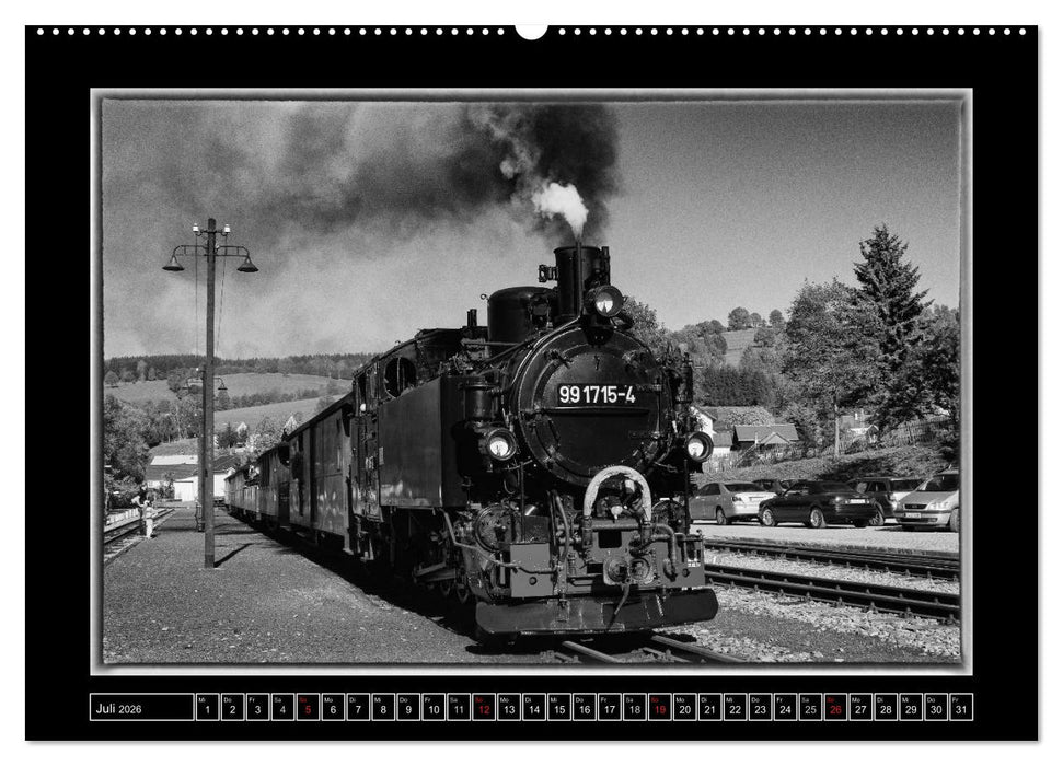 Die Preßnitztalbahn (CALVENDO Premium Wandkalender 2026)