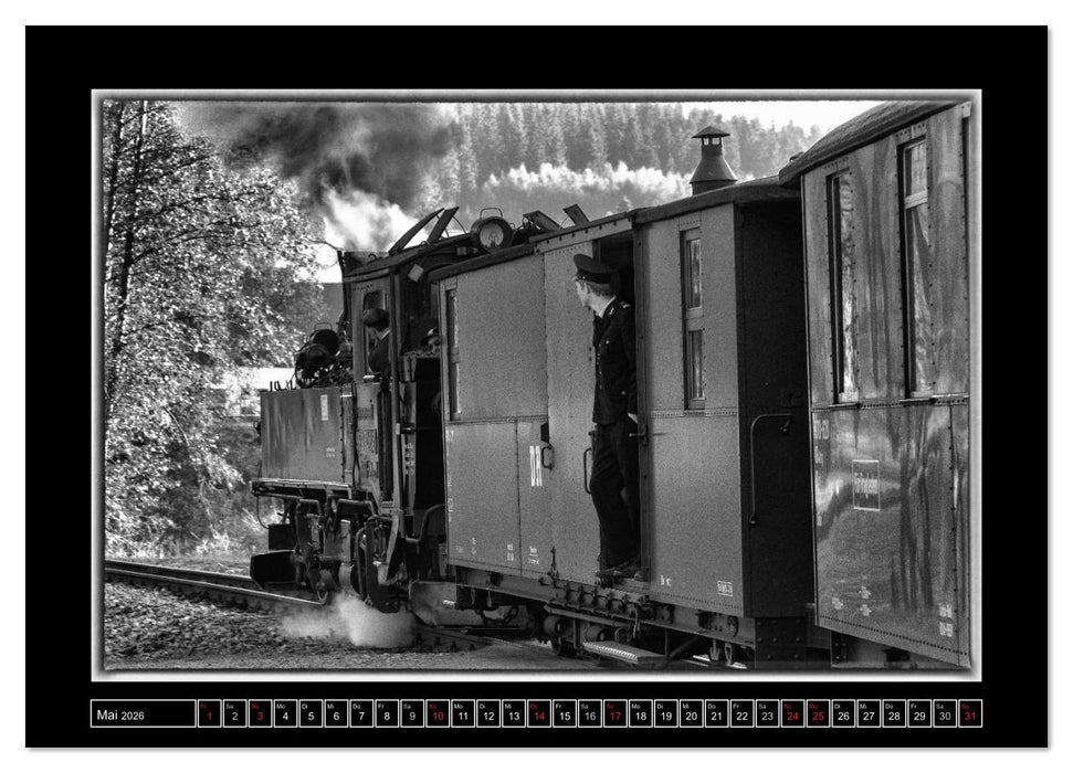 Unter Dampf - Mit der Preßnitztalbahn durchs Erzgebirge (CALVENDO Premium Wandkalender 2026)