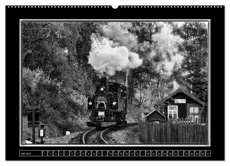 Unter Dampf - Mit der Preßnitztalbahn durchs Erzgebirge (CALVENDO Premium Wandkalender 2026)