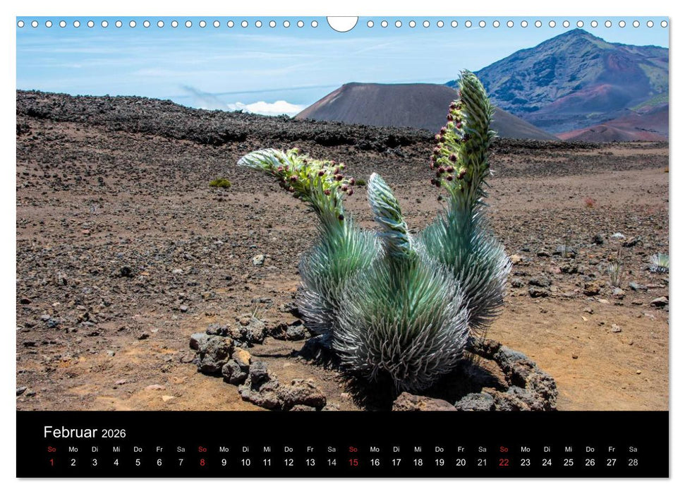 Paradiese der Erde - HAWAII (CALVENDO Wandkalender 2026)