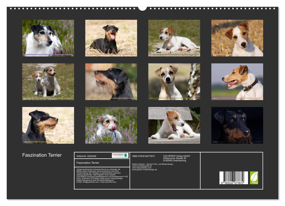 Faszination Terrier (CALVENDO Premium Wandkalender 2026)