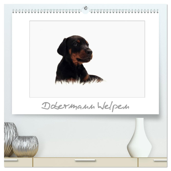 Dobermann Welpen (CALVENDO Premium Wandkalender 2026)