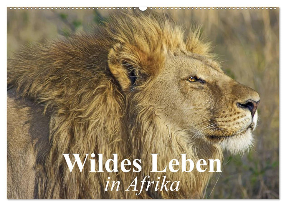 Wildes Leben in Afrika (CALVENDO Wandkalender 2026)