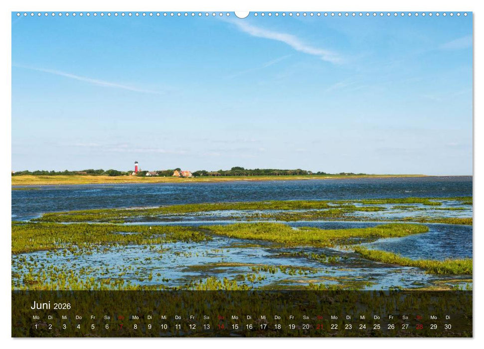 Wangerooge – Eine Perle in der Nordsee. (CALVENDO Premium Wandkalender 2026)