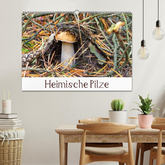 Heimische Pilze (CALVENDO Wandkalender 2026)
