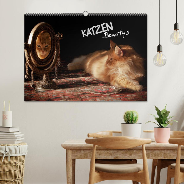KATZEN Beautys (CALVENDO Wandkalender 2026)