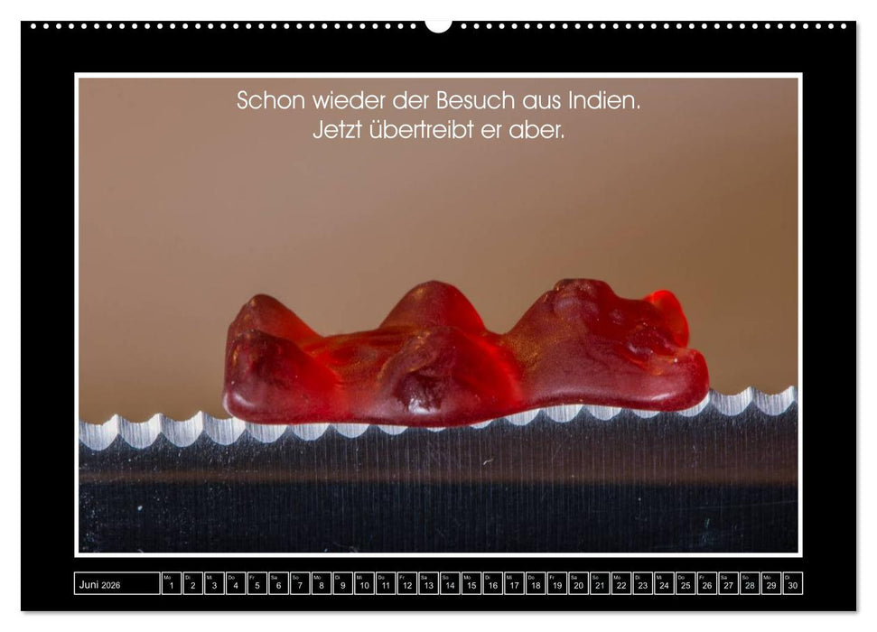 Wissenswertes aus der Welt der Gummibären (CALVENDO Premium Wandkalender 2026)