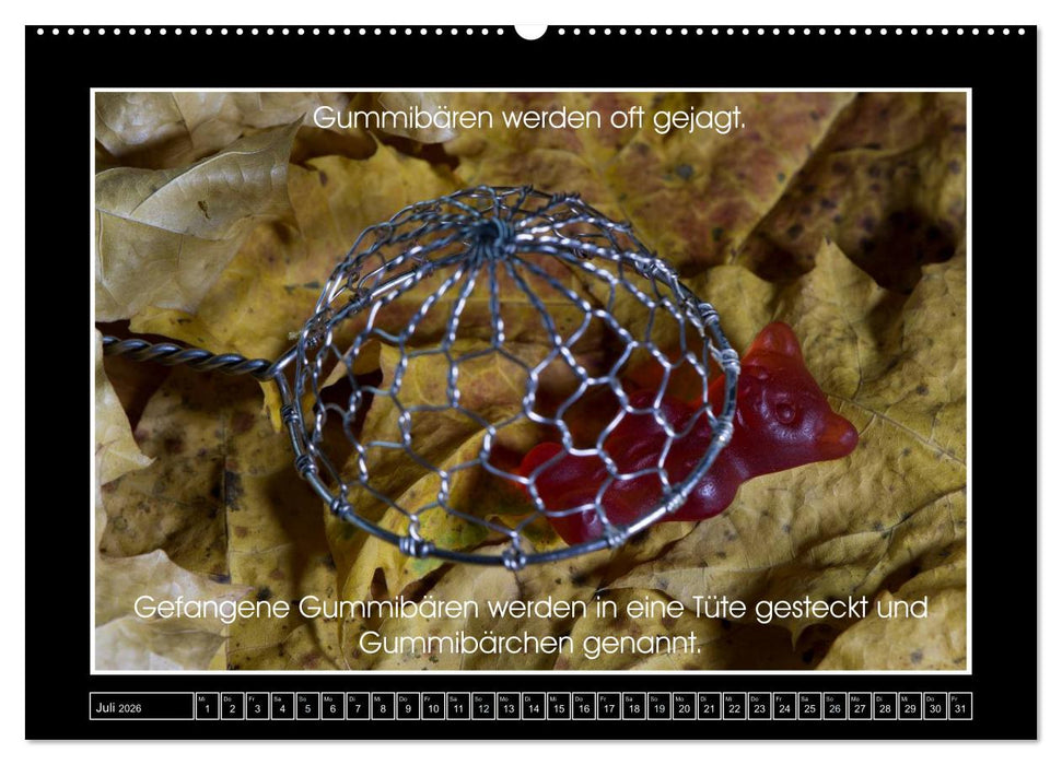 Wissenswertes aus der Welt der Gummibären (CALVENDO Premium Wandkalender 2026)