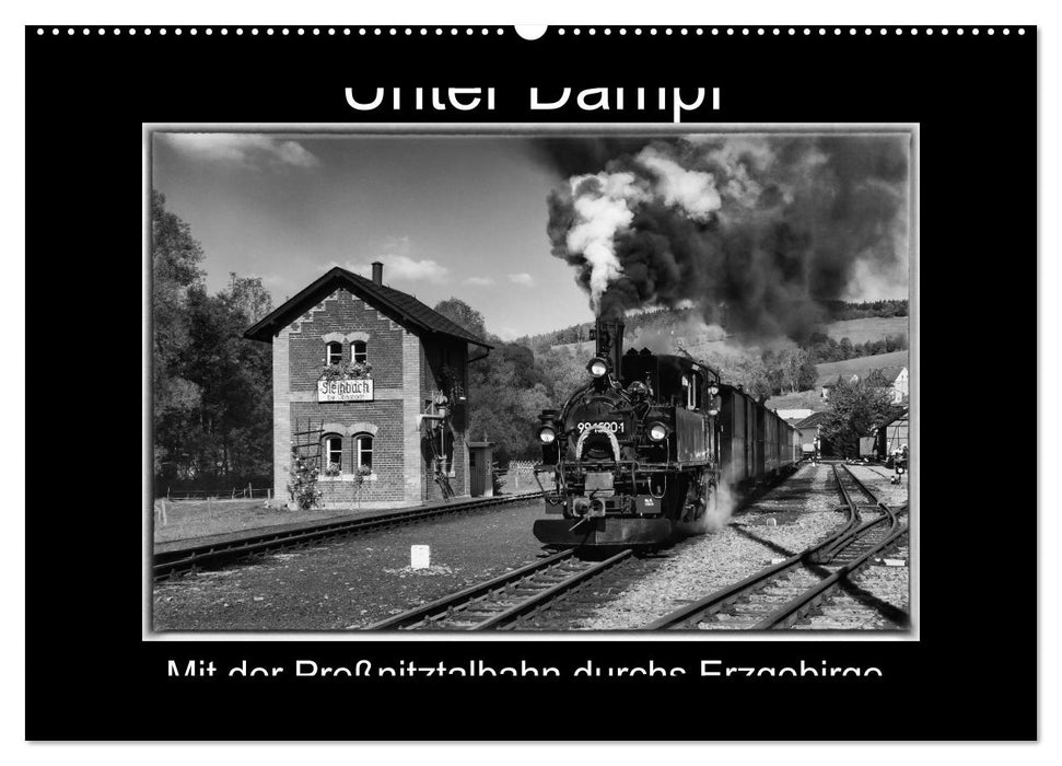 Unter Dampf - Mit der Preßnitztalbahn durchs Erzgebirge (CALVENDO Wandkalender 2026)