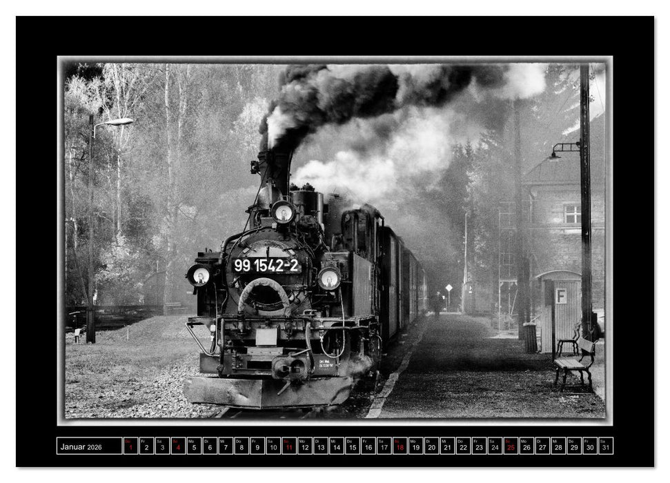 Unter Dampf - Mit der Preßnitztalbahn durchs Erzgebirge (CALVENDO Wandkalender 2026)