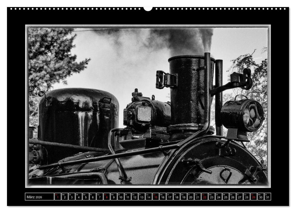 Unter Dampf - Mit der Preßnitztalbahn durchs Erzgebirge (CALVENDO Wandkalender 2026)