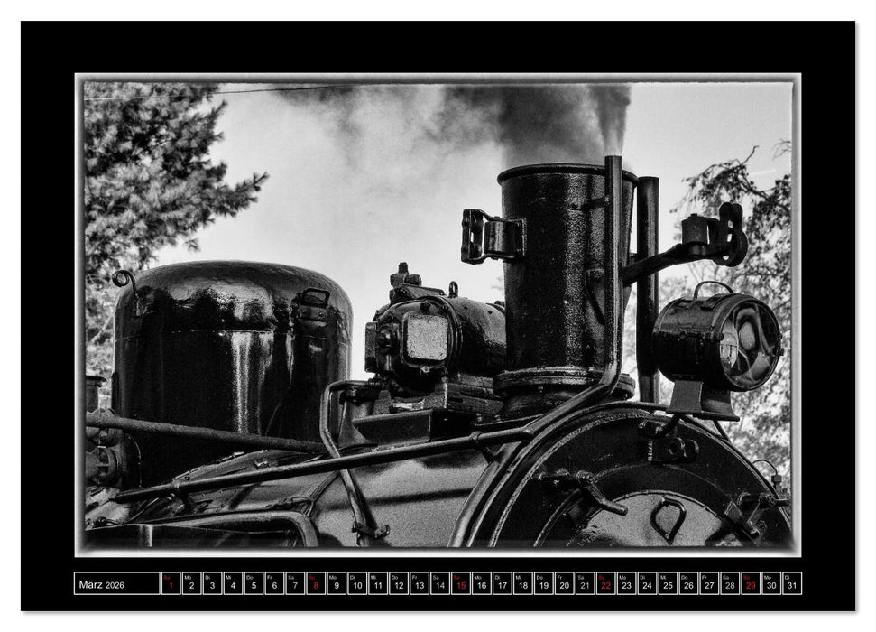 Unter Dampf - Mit der Preßnitztalbahn durchs Erzgebirge (CALVENDO Wandkalender 2026)