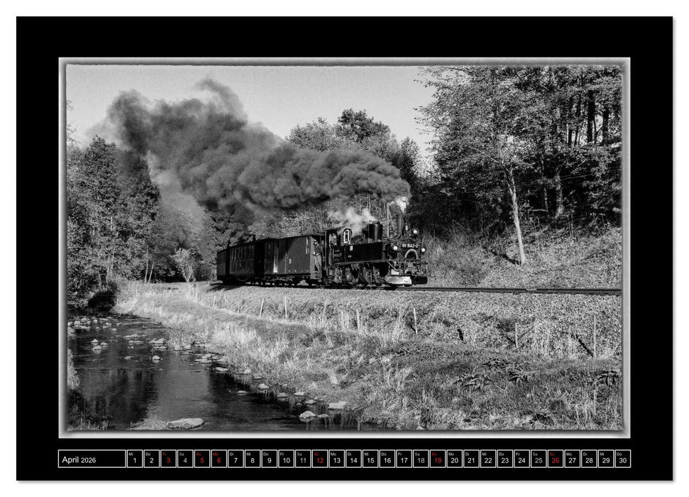 Unter Dampf - Mit der Preßnitztalbahn durchs Erzgebirge (CALVENDO Wandkalender 2026)
