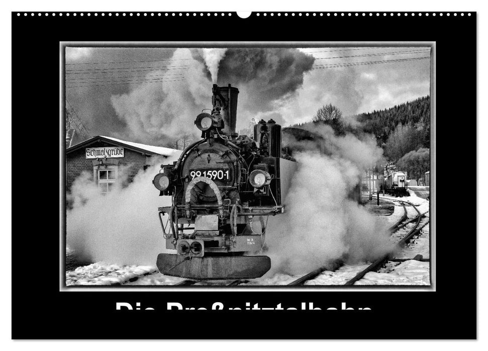 Die Preßnitztalbahn (CALVENDO Wandkalender 2026)