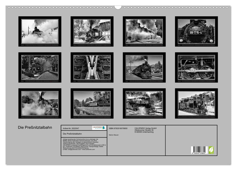 Die Preßnitztalbahn (CALVENDO Wandkalender 2026)
