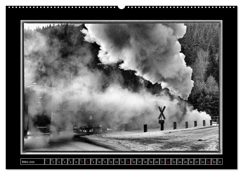 Die Preßnitztalbahn (CALVENDO Wandkalender 2026)