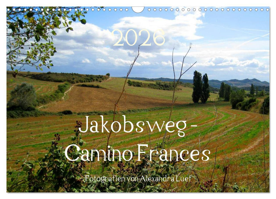 Jakobsweg - Camino Frances (CALVENDO Wandkalender 2026)