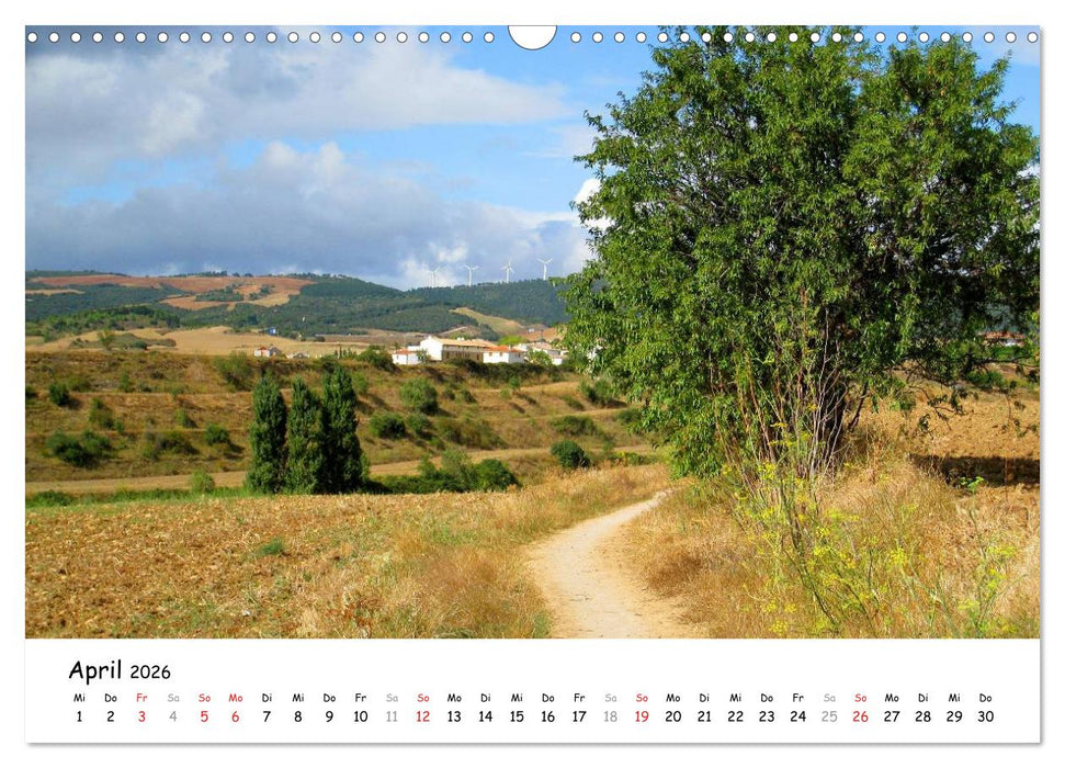 Jakobsweg - Camino Frances (CALVENDO Wandkalender 2026)