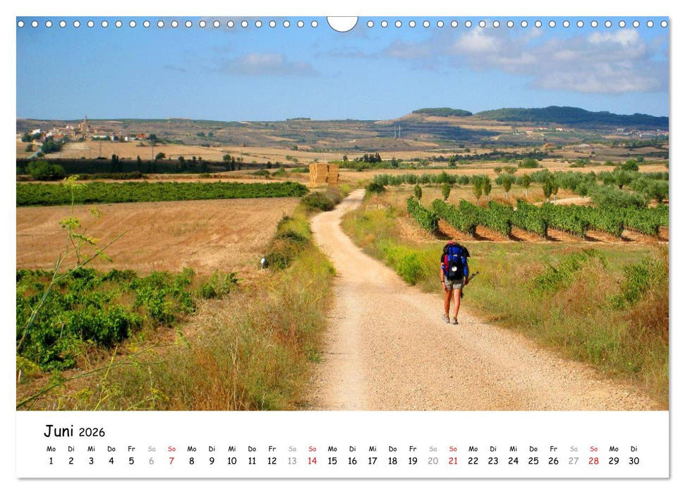 Jakobsweg - Camino Frances (CALVENDO Wandkalender 2026)