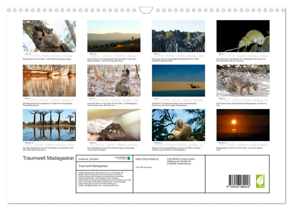 Traumwelt Madagaskar (CALVENDO Wandkalender 2026)