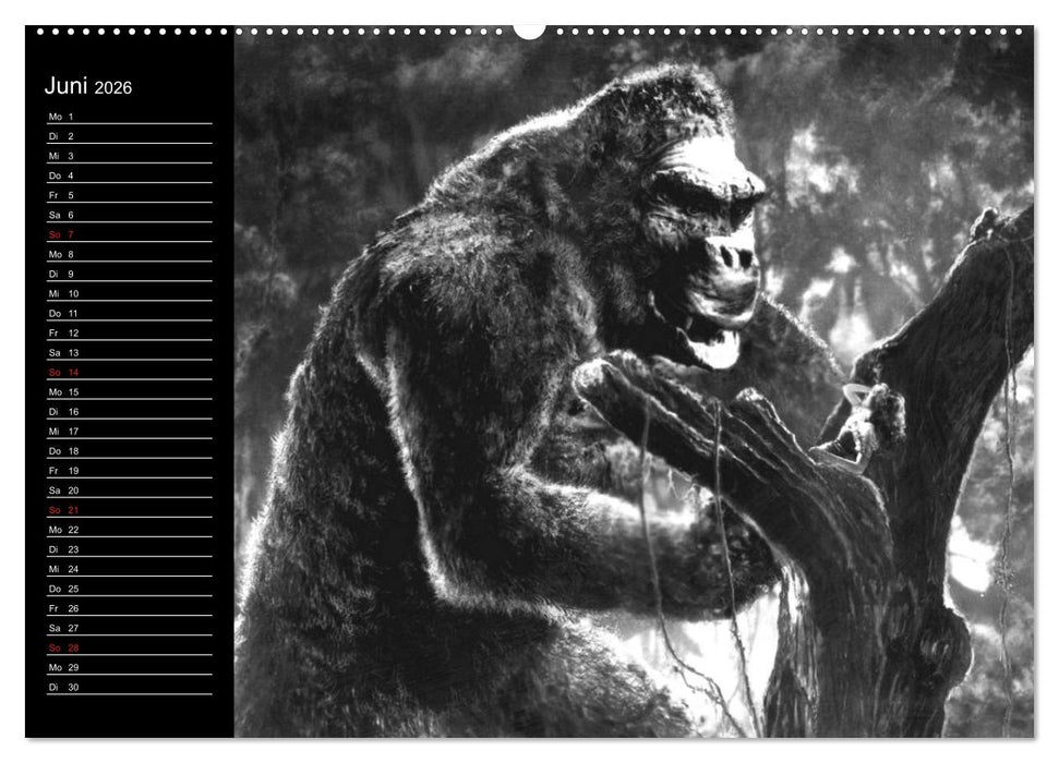 Kultfilme - schwarz-weiße Klassiker (CALVENDO Wandkalender 2026)