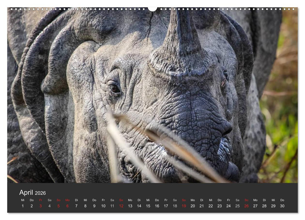 Nepal 2026 - Dem Himmel so nah (CALVENDO Premium Wandkalender 2026)