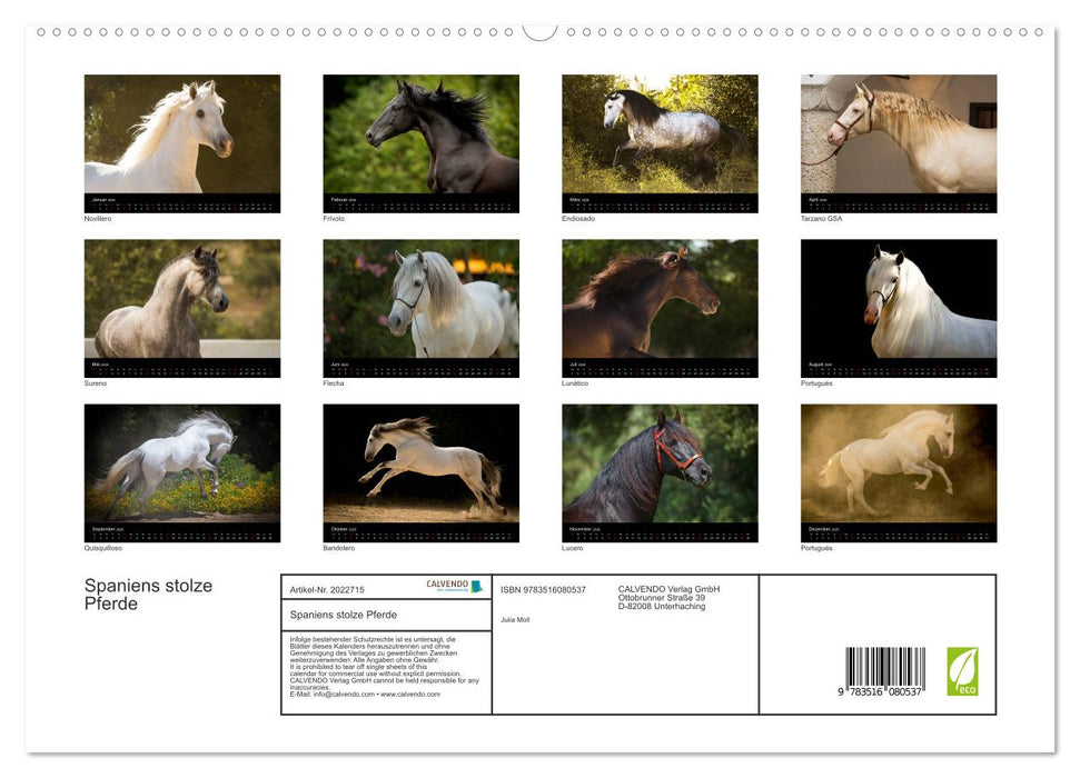 Spaniens stolze Pferde (CALVENDO Premium Wandkalender 2026)