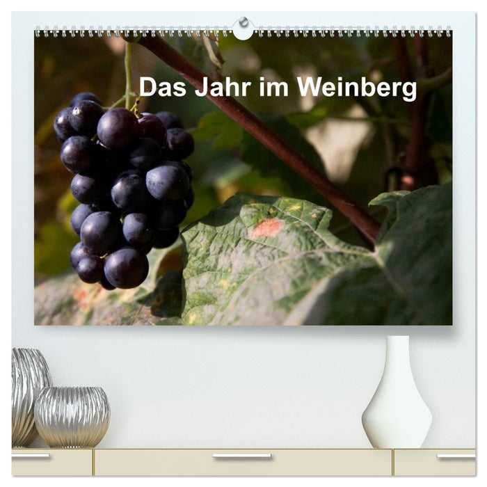 Das Jahr im Weinberg (CALVENDO Premium Wandkalender 2026)