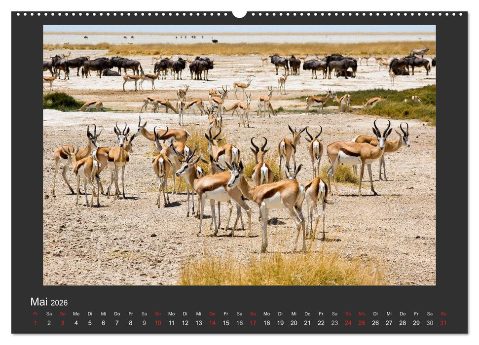 Facetten Namibias (CALVENDO Premium Wandkalender 2026)