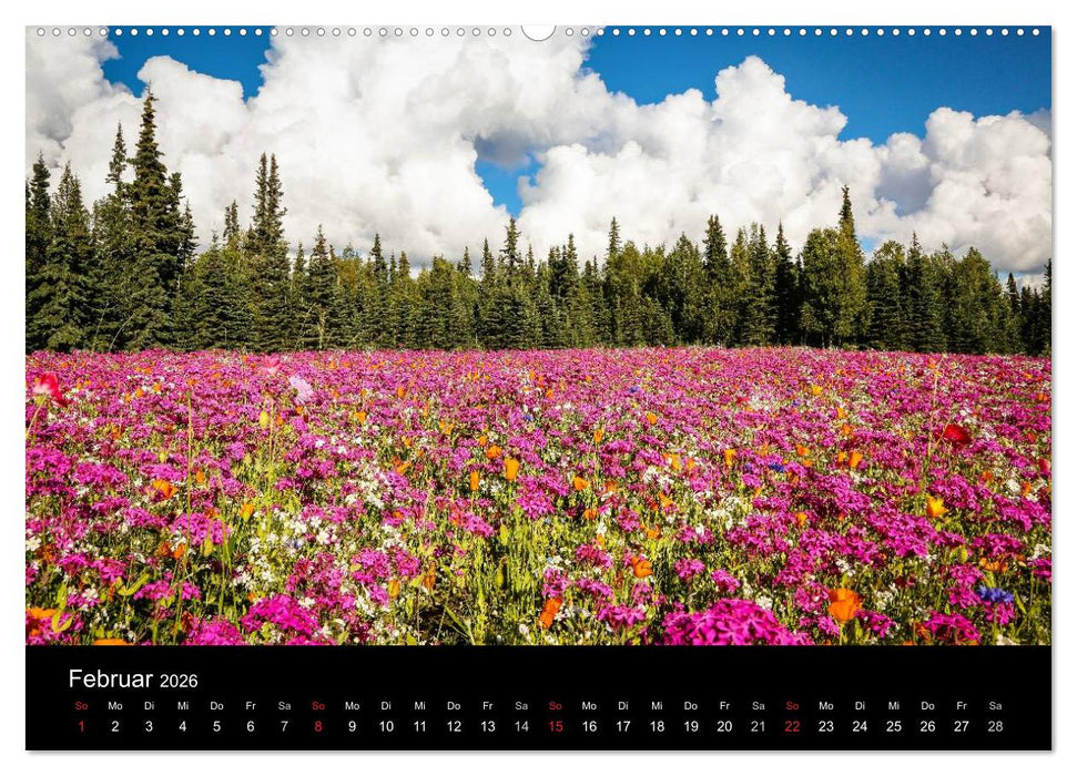 Alaska 2026 Wildes Land am Ende der Welt (CALVENDO Wandkalender 2026)