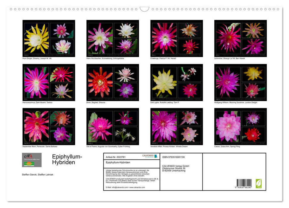 Epiphyllum-Hybriden (CALVENDO Wandkalender 2026)