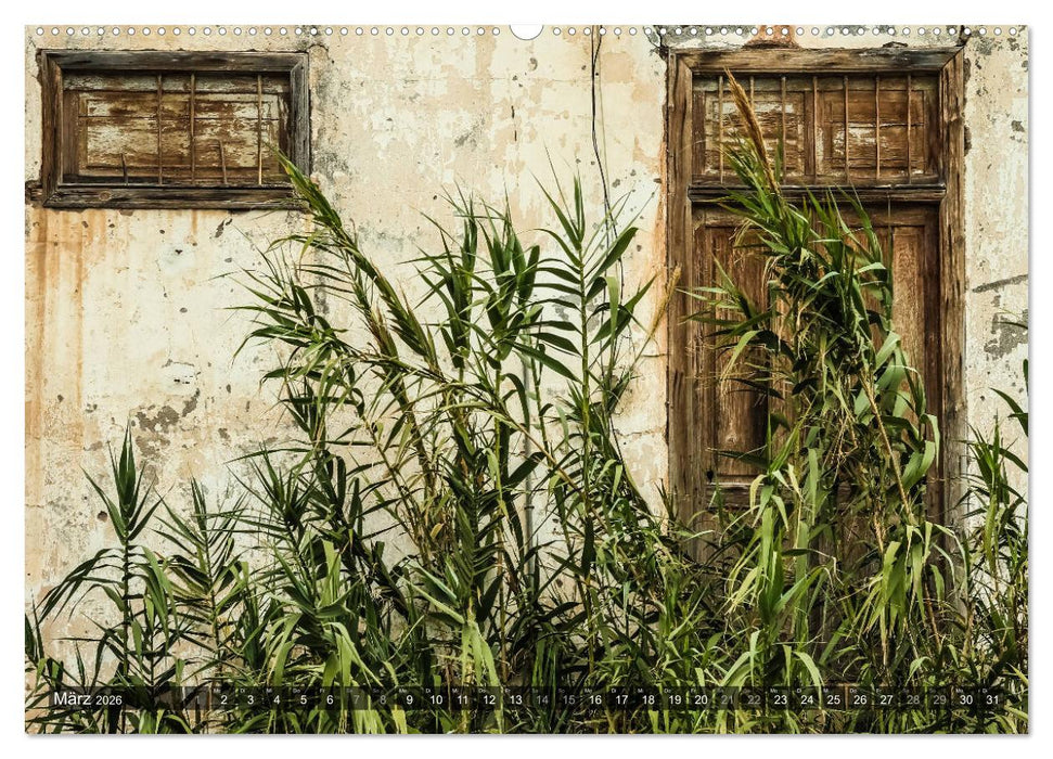 La Gomera 2026 - Eine Entdeckungsreise (CALVENDO Wandkalender 2026)