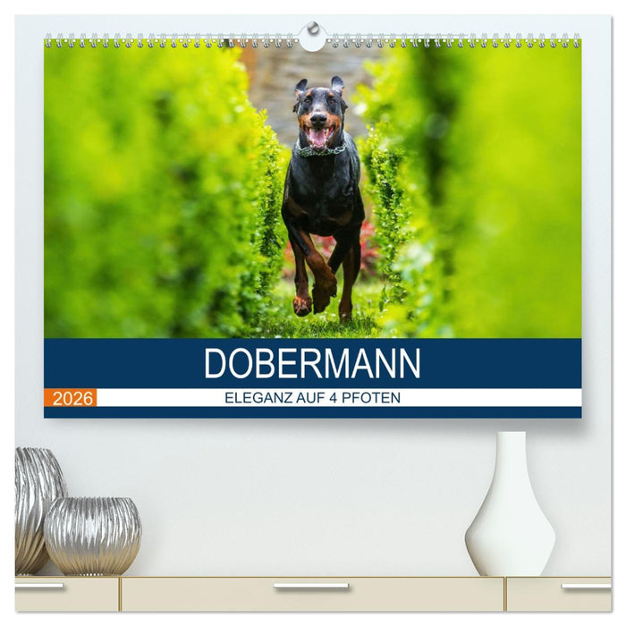 Dobermann 2026 (CALVENDO Premium Wandkalender 2026)