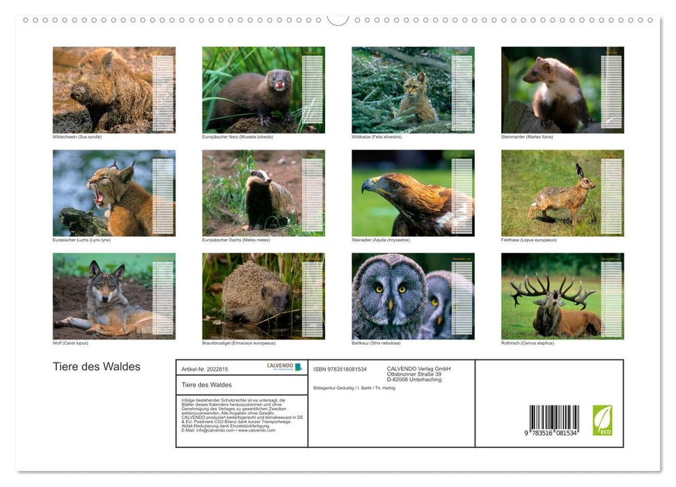Tiere des Waldes (CALVENDO Premium Wandkalender 2026)