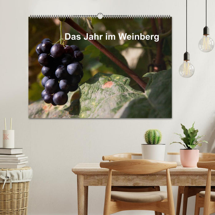 Das Jahr im Weinberg (CALVENDO Wandkalender 2026)