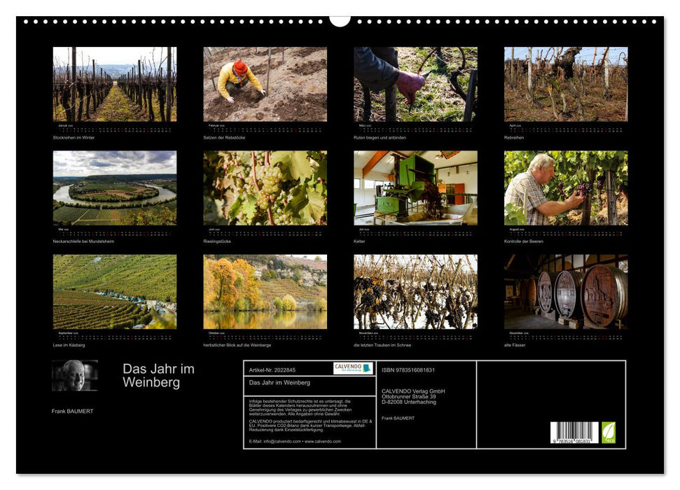 Das Jahr im Weinberg (CALVENDO Wandkalender 2026)
