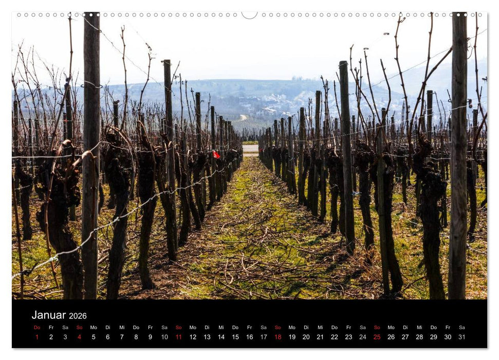 Das Jahr im Weinberg (CALVENDO Wandkalender 2026)