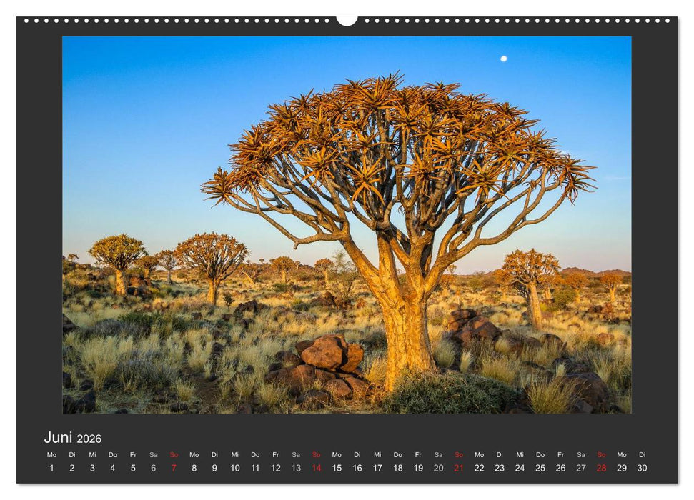 Facetten Namibias (CALVENDO Wandkalender 2026)