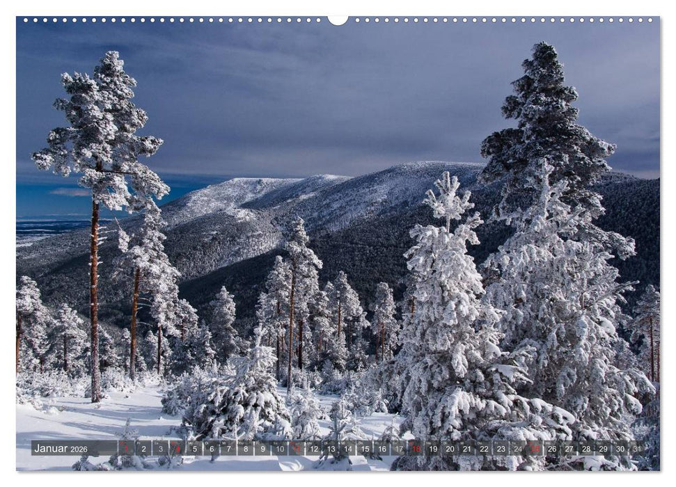 Ausflugziele um Madrid (CALVENDO Premium Wandkalender 2026)