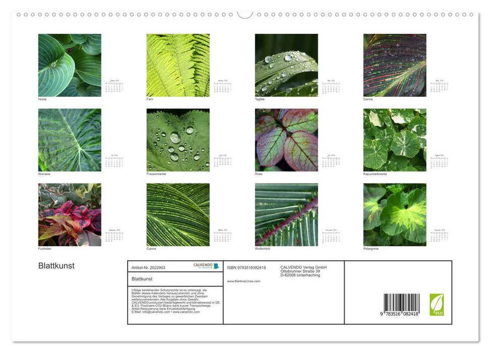 Blattkunst (CALVENDO Premium Wandkalender 2026)