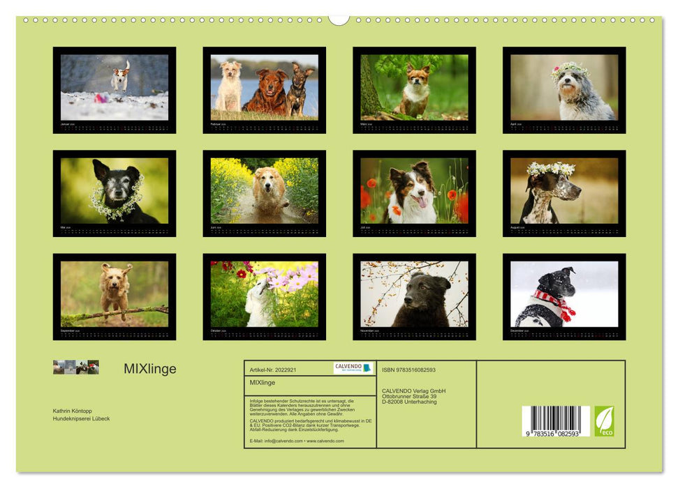MIXlinge (CALVENDO Premium Wandkalender 2026)