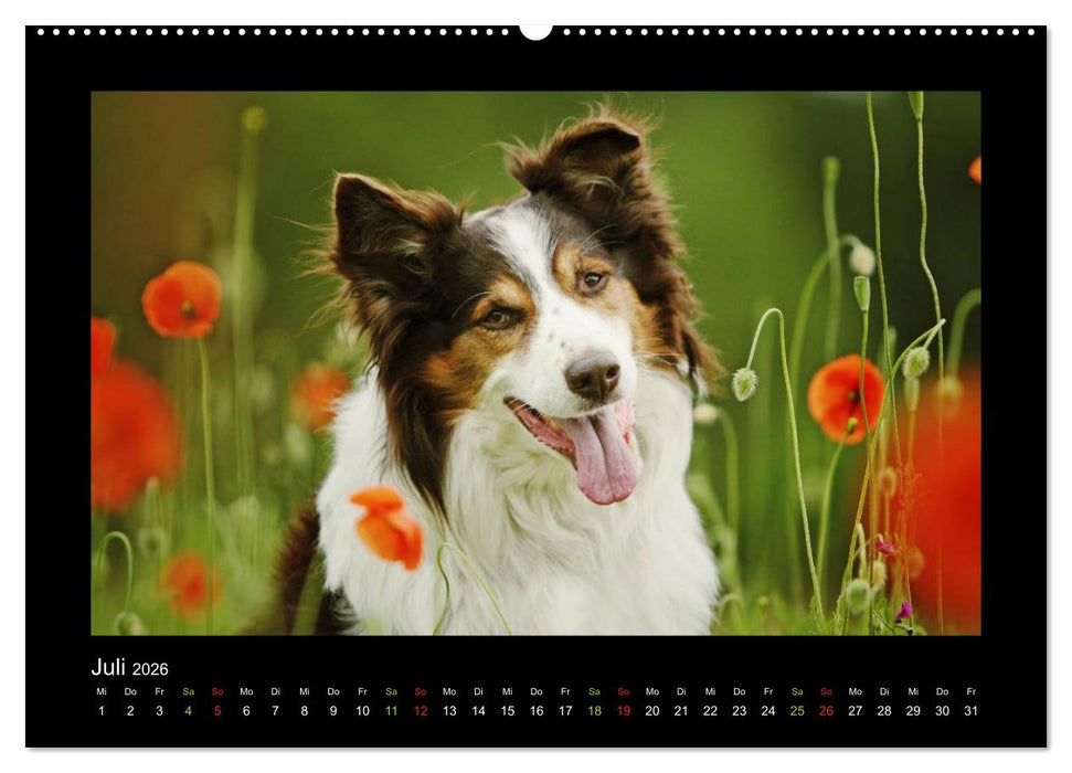 MIXlinge (CALVENDO Premium Wandkalender 2026)