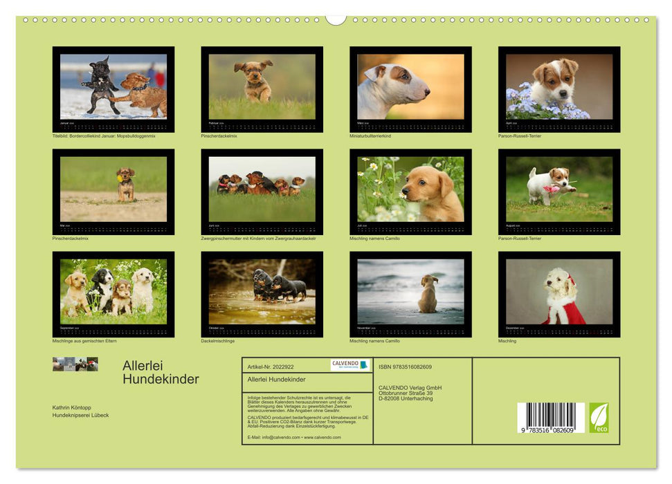 Allerlei Hundekinder (CALVENDO Premium Wandkalender 2026)