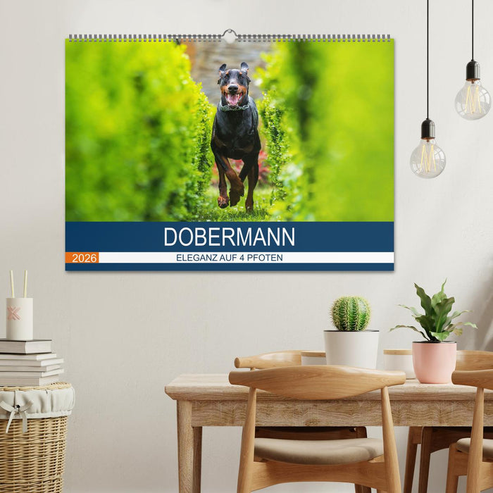 Dobermann 2026 (CALVENDO Wandkalender 2026)