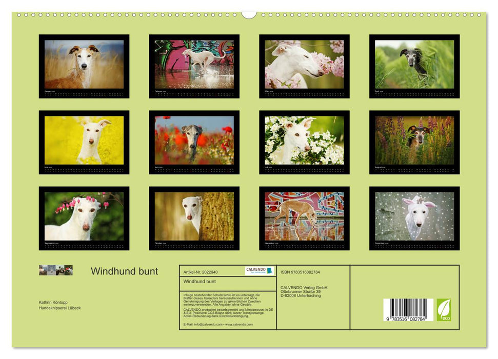 Windhund bunt (CALVENDO Premium Wandkalender 2026)