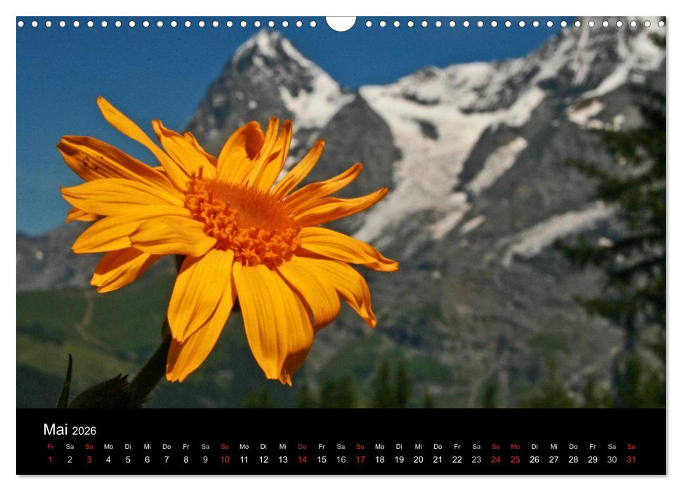 Zauber der Berge. Die Schweizer Alpen (CALVENDO Wandkalender 2026)