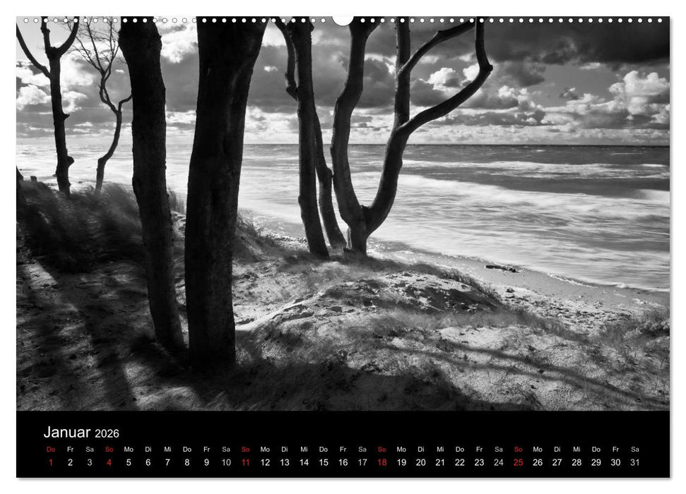 Strandspaziergang an der Ostsee (CALVENDO Premium Wandkalender 2026)