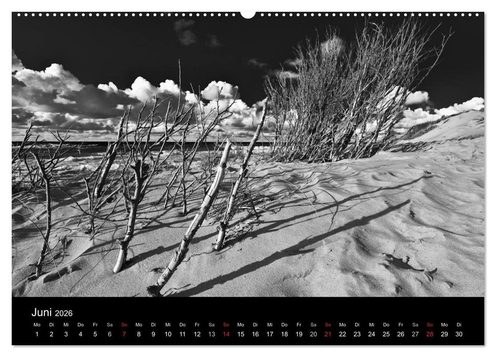 Strandspaziergang an der Ostsee (CALVENDO Premium Wandkalender 2026)