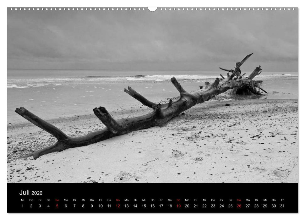 Strandspaziergang an der Ostsee (CALVENDO Premium Wandkalender 2026)